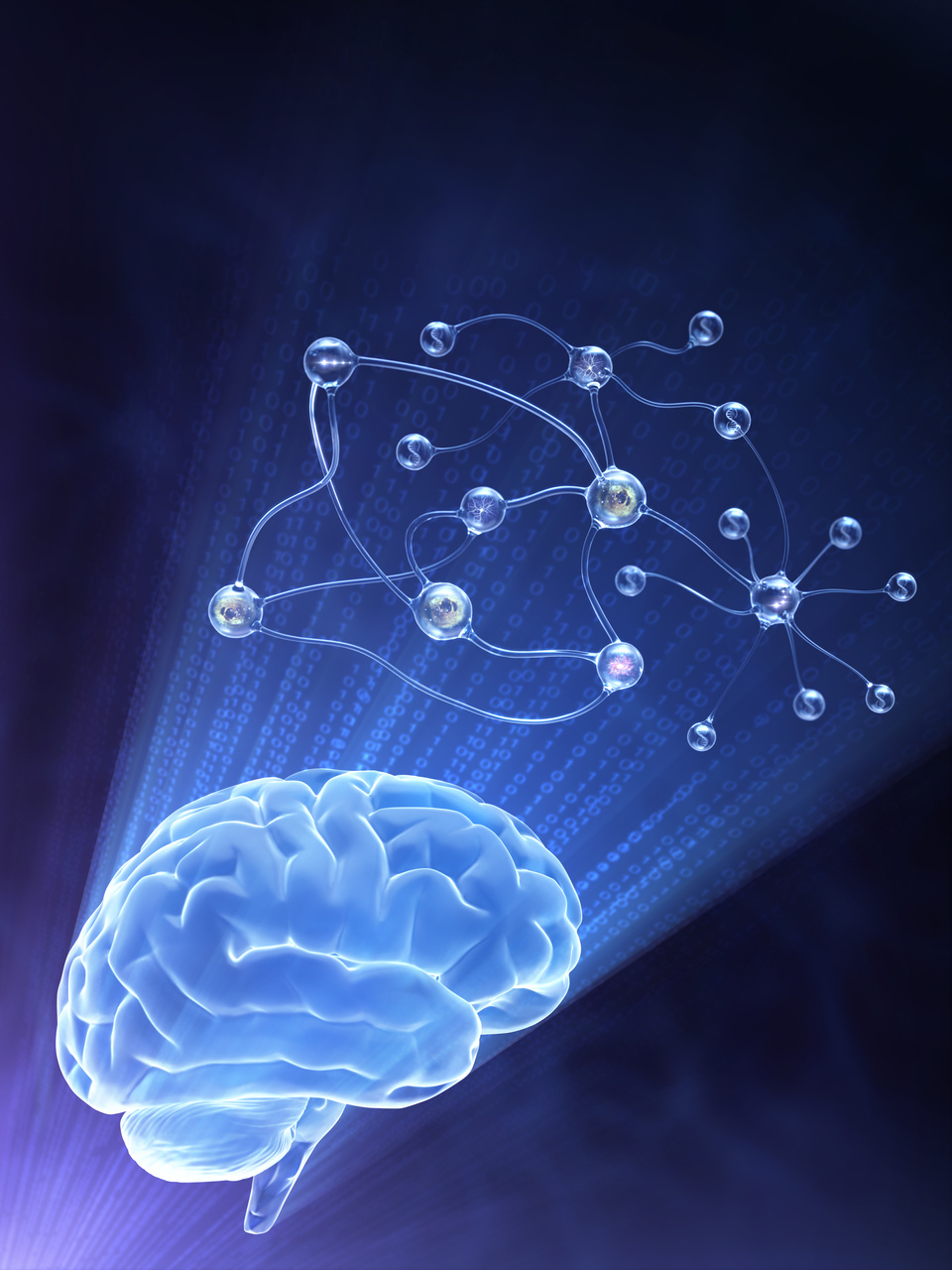 brain and neural network
